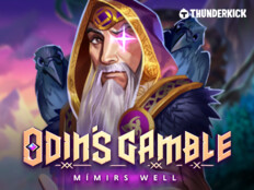 Wild spinner new online casino kingcasinobonus40